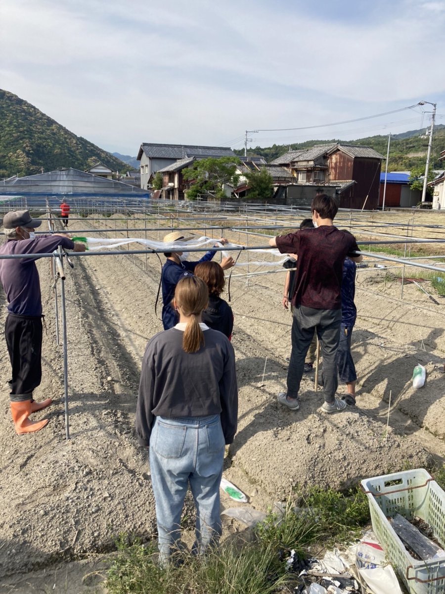 高知大学同好会の安田の食応援隊(あんたべ)です。

4/30、5/1、5/2で葉わさびの収穫体験を予定してます。場所は高知県安芸郡安田町です(メンバーの車で行きます)。

少しでも興味のある方はこのアカウントにDMでお声かけください。おひとりでも、友達を誘っていただいてもいいですよ！

代表_藤井