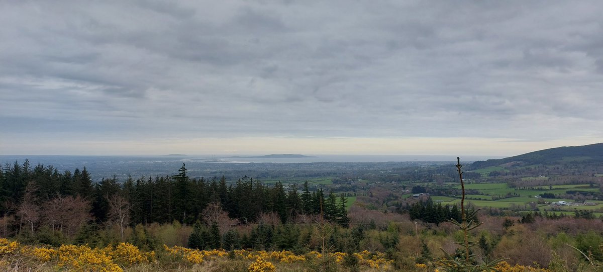 wlhaydock's tweet image. Evening walk, all grey and cloudy across Dublin bay ☁️☁️☁️ #hellfireclub #eveningwalk #remnants #lighteningtrees ⚡️