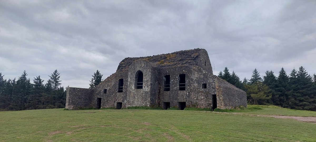 wlhaydock's tweet image. Evening walk, all grey and cloudy across Dublin bay ☁️☁️☁️ #hellfireclub #eveningwalk #remnants #lighteningtrees ⚡️