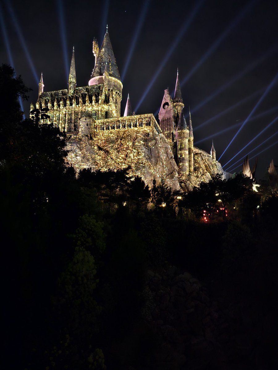 AlienAnsley's tweet photo. My happy place ❤️  #hogwarts #HarryPotter #universalorlando https://t.co/a3PKnrG37q