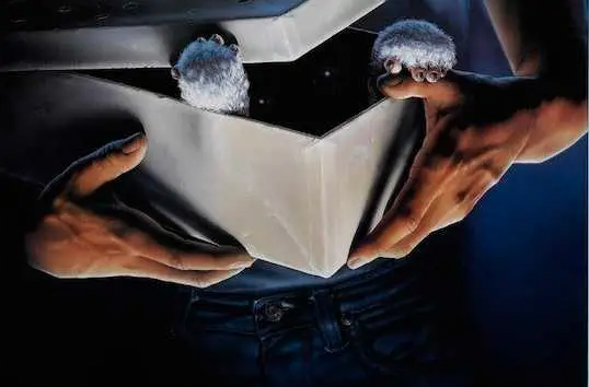 MofoGoats's tweet image. Lights, camera, action! 🎥🍿🎬 @GoatsDAO is transforming the entertainment industry by providing a fun and innovative way for members to engage and collaborate in movie production and marketing. Join the herd and be part of the excitement! 🐐🎉 #Entertainment #MovieProduction