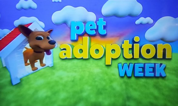 tpirepguide's tweet photo. 4.25.23 (0212L) https://t.co/uoMpts1Ycs #PetAdoptionWeek https://t.co/xeGaAdhxng