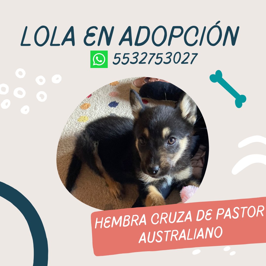 AlitaEmo tweet media