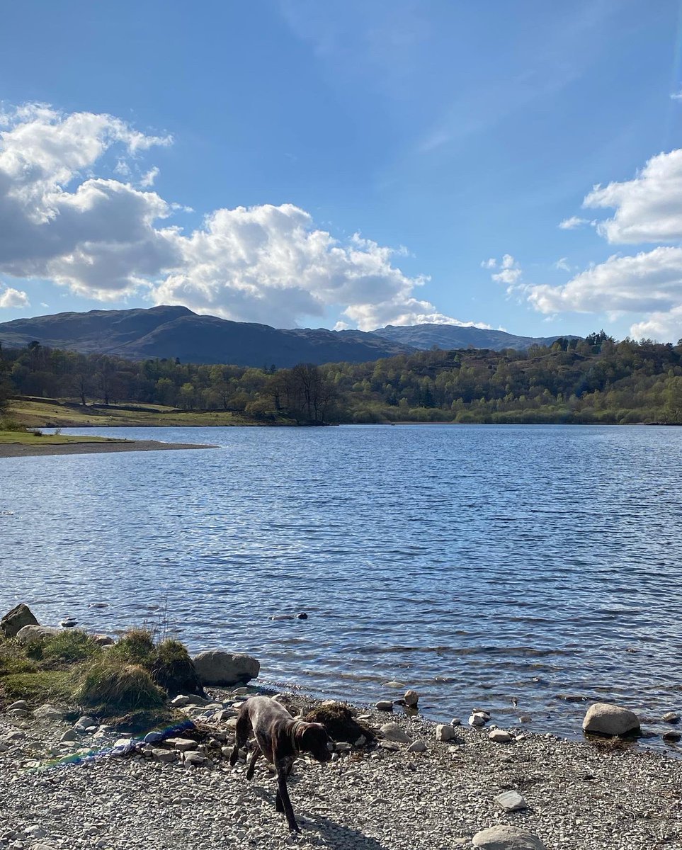 PhysioMorag's tweet photo. Elterwater ➡️ Grasmere ➡️ Rydal ➡️ Elterwater

Such a glorious day in the mountains today - one of those days that makes you fall in love with the Lakes all over again 🫶

#holidays #LakeDistrict #QMD https://t.co/4Ub2wpx2tU