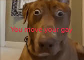 This is for all the gays who had an enlightenment with Spike from Super Mario Bros. 😌
