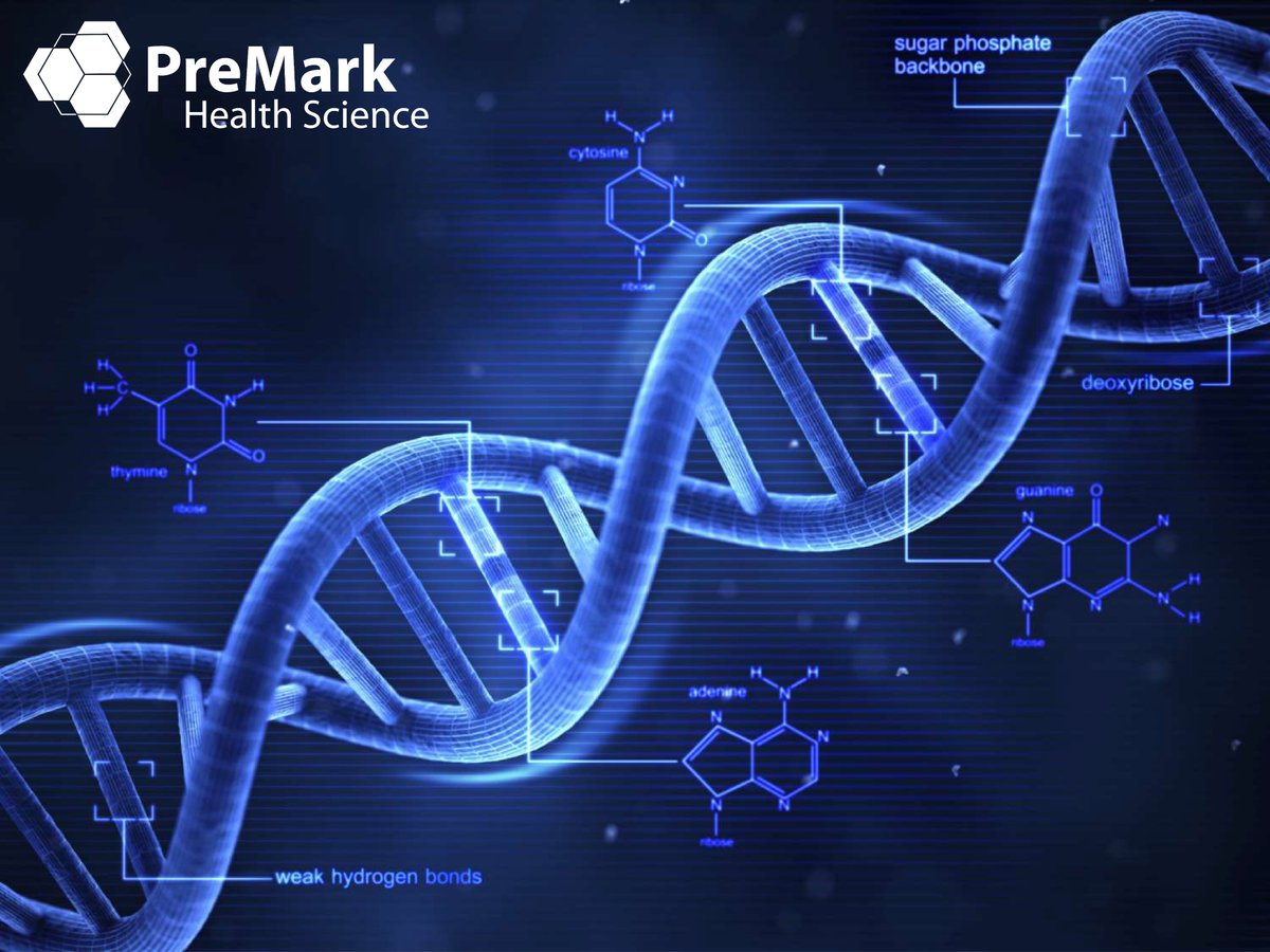PreMarkHS's tweet image. Today is National DNA Day! Celebrating both the completion of the Human Genome Project and the 70th anniversary of the discovery of the double helix structure of DNA.

@genome_gov
@NIH 

#dna #dnaday #premark #health #science #explorepage #discovery #explore #NationalDNADay #NIH