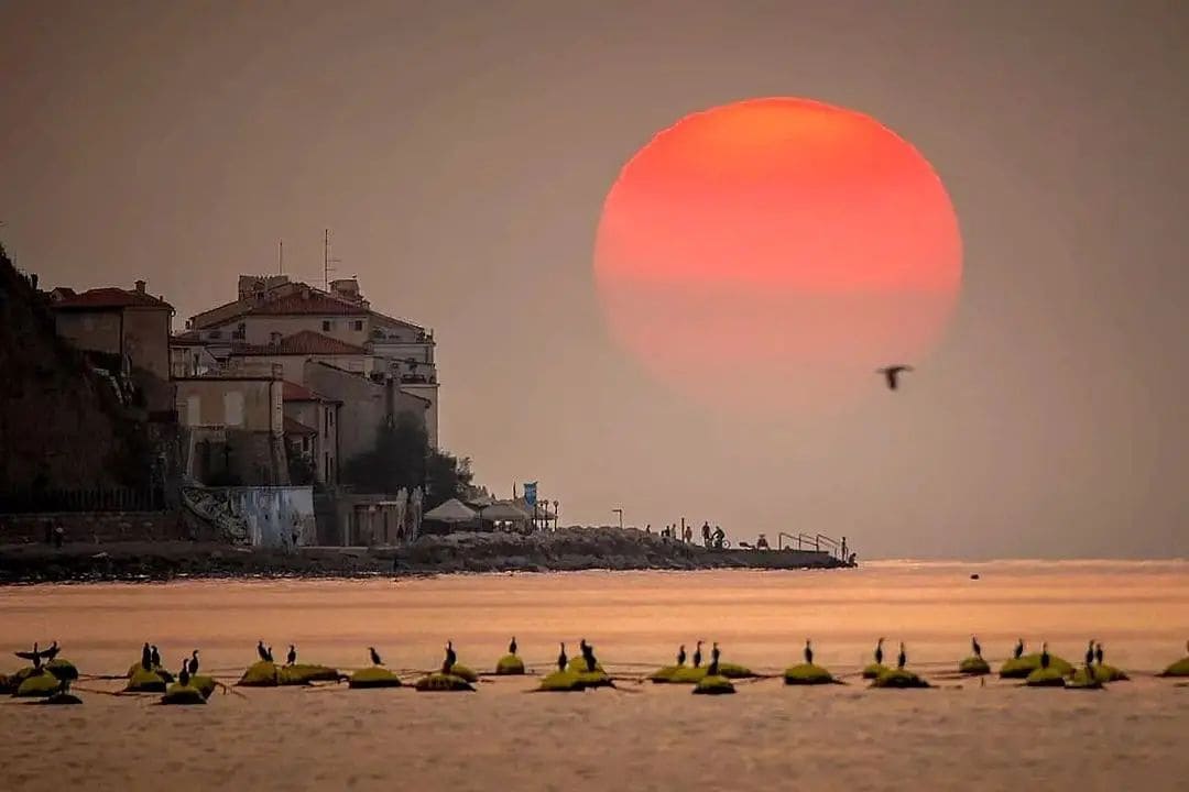 Magic sunset in Piran, Slovenia 📸 sjoko_photography