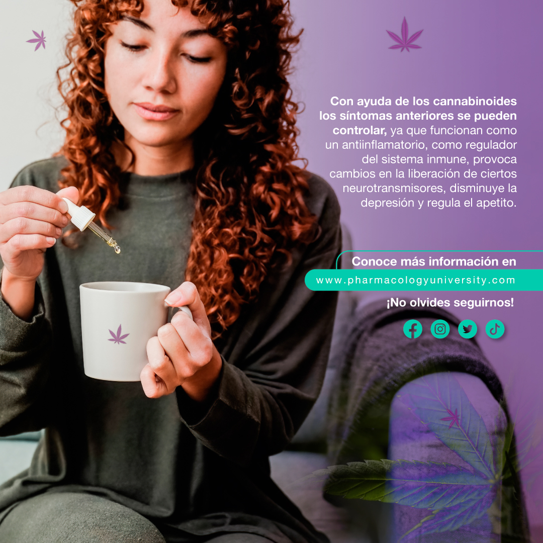 Recuerden que el uso del cannabis con fines #medicinales debe ser supervisado por un #médico.

En este post conocerán los #beneficios que el cannabis puede brindar a las personas con #obesidad. No olvides seguirnos y compartir. Cuéntanos en los comentarios que opinas de este tema