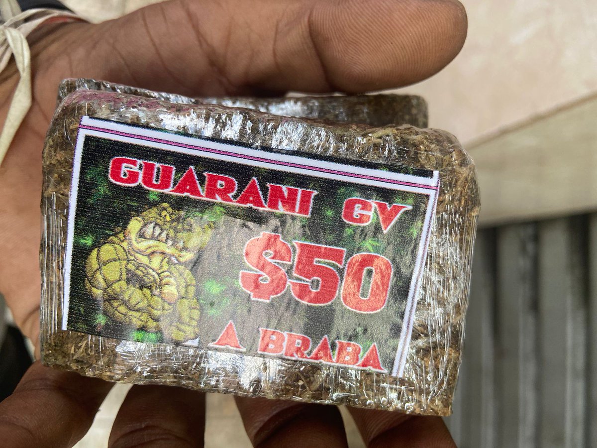 Maconhasrj's tweet photo. 🍁 Jacaré, Boca Do Guarani 🍁

🍁MACONHA A BRABA DE 100,00🍁

MELHORES MACONHA RJ🍁🎈🥰❤️🚛💪🇧🇷 https://t.co/ippkrPs3cF
