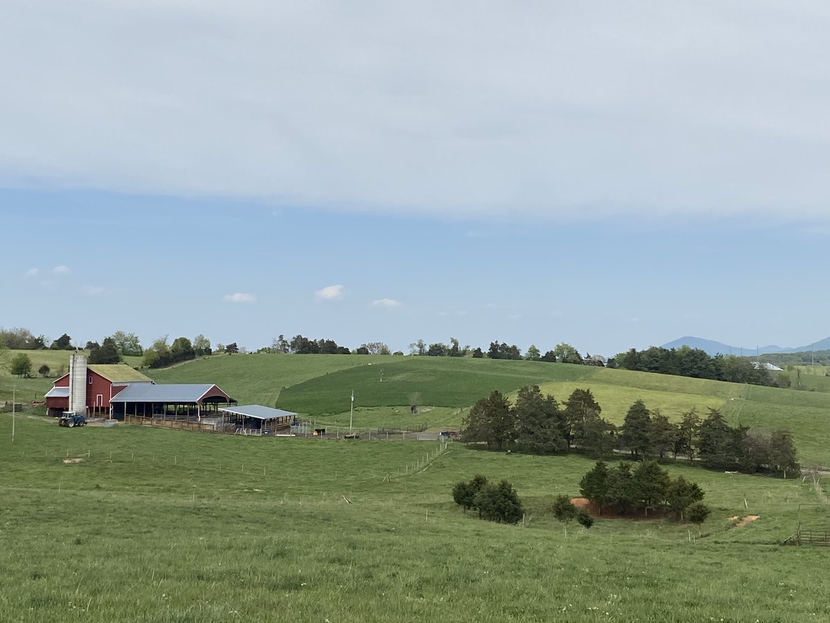 VirginiaDCR's tweet photo. Hats off to Virginia farmer Mike Phillips for keeping his operation healthy & profitable with #conservationpractices like #rotationalgrazing & #nutrientmanagement. He & soil conservationist Megan Comfort are even testing the performance of different cover crops on 10 corn fields! https://t.co/uAN3B9zJyU
