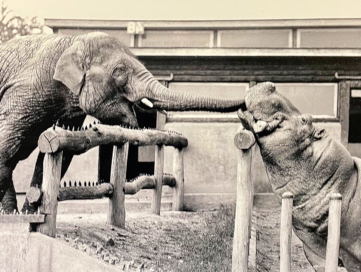 Jack Baker 🌵🐾 tweet media