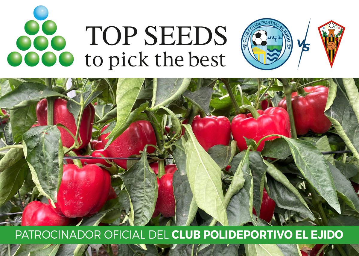 Poli_ElEjido's tweet photo. Patrocinador Oficial del Pvo El Ejido @TopseedsES🔝🌱
💙TOP SEEDS IBÉRICA💙
Este domingo jugaremos el partido #TopSeeds ante el
@SanRoqueLepe, partido vital para mantener la categoría, que será de puertas abiertas y en el que se presentarán los equipos base del club
#MuchoPoli https://t.co/jap4PADtf1