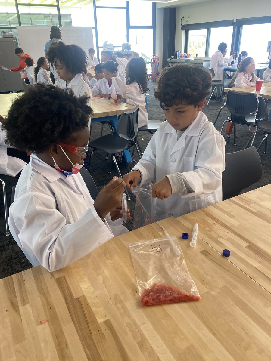 Our @sdschools Nipaquay students had a blast learning about DNA and being real scientists today. We appreciate @Illumina’s support in creating these experiences that spark interest and exploration in STEM learning #DNADay2023