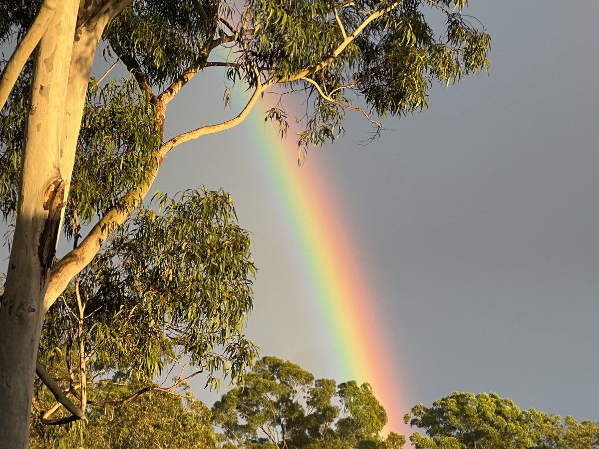 Russell Crowe tweet media