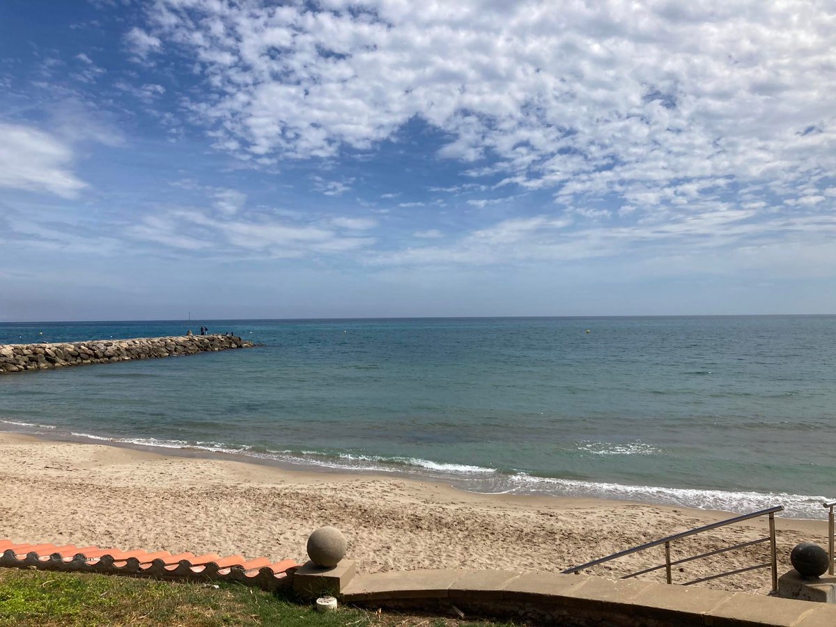 Enjoyable 2 days in amazing Sitges for the Scientific unit retreat @EMBLBarcelona, we got brain-stormed with super interesting collaborative ideas, delicious food, and party fun😎 #bloodvessels #RBCs #microfluidics #malaria #computationalmodels #organoids #zebrafish #chickembryo
