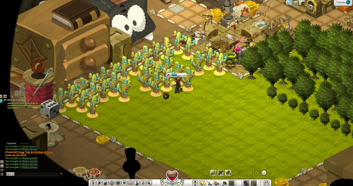 he perdido la noción del tiempo, solo se que debo seguir talando...