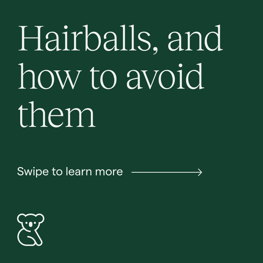 Koala Health tweet media