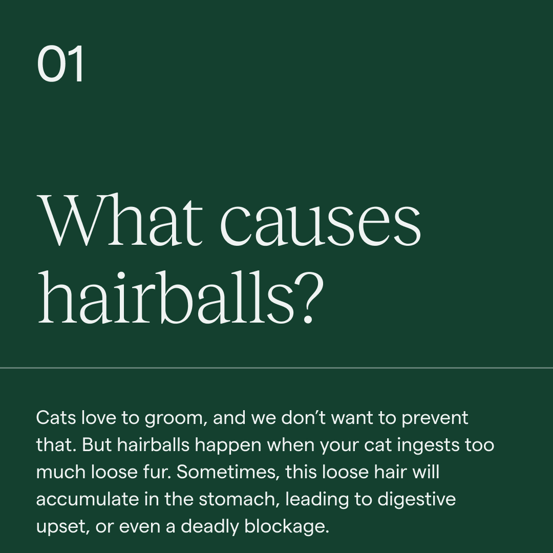 Koala Health tweet media