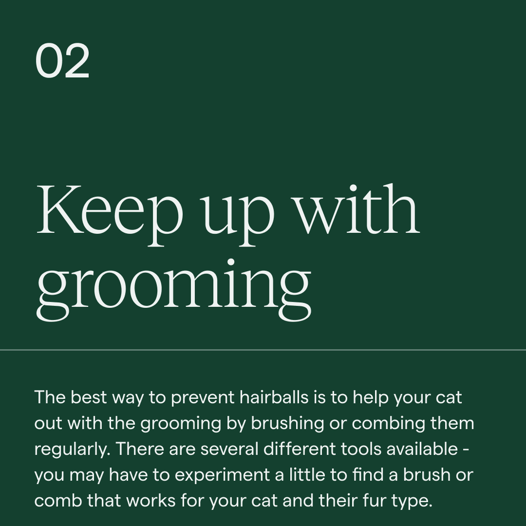 Koala Health tweet media