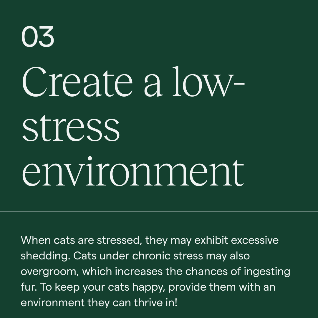 Koala Health tweet media