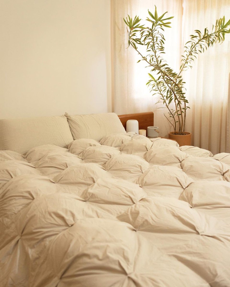 PARACHUTE tweet media