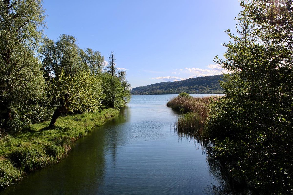 GioeleZanni's tweet photo. Lago di Comabbio 🌾🌊🪷 #lagochiuso #lago #lagodicomabbio #varese #comabbio #primavera23
#primavera #sole #canonphotography #canonphoto #photo #natura #lombardia #25aprile #fotopaesaggi #paesaggio #fotopaesaggistica https://t.co/tjiq6lddl9