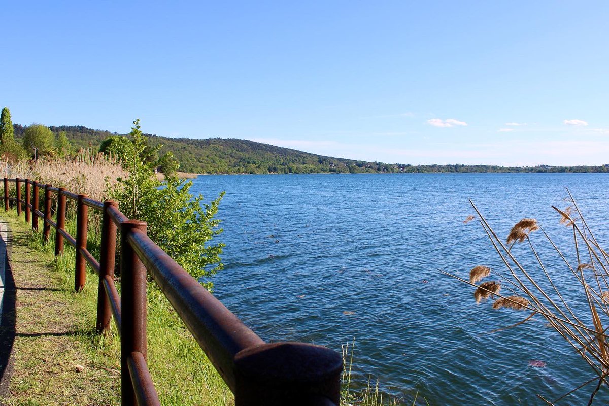 GioeleZanni's tweet photo. Lago di Comabbio 🌾🌊🪷 #lagochiuso #lago #lagodicomabbio #varese #comabbio #primavera23
#primavera #sole #canonphotography #canonphoto #photo #natura #lombardia #25aprile #fotopaesaggi #paesaggio #fotopaesaggistica https://t.co/tjiq6lddl9