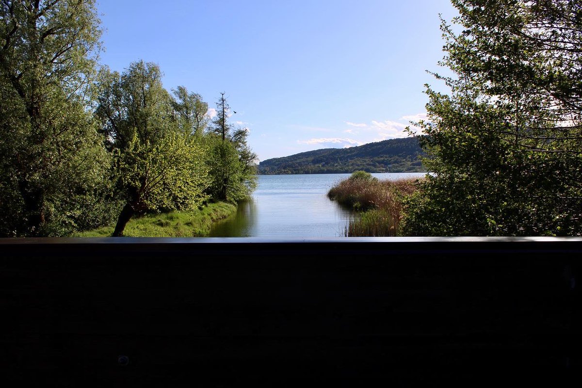 GioeleZanni's tweet photo. Lago di Comabbio 🌾🌊🪷 #lagochiuso #lago #lagodicomabbio #varese #comabbio #primavera23
#primavera #sole #canonphotography #canonphoto #photo #natura #lombardia #25aprile #fotopaesaggi #paesaggio #fotopaesaggistica https://t.co/tjiq6lddl9