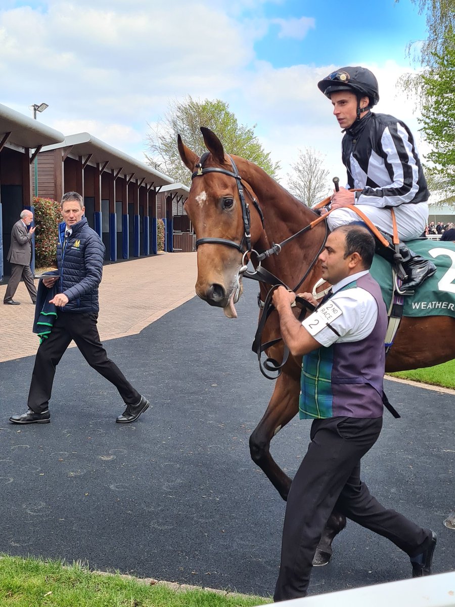 NeilDav42177136's tweet photo. The stunning #Hadrianus . Looks like he's been abused every day of his life! Not many happier looking horses around? #StandUpForRacing https://t.co/9WmXZLP8f7