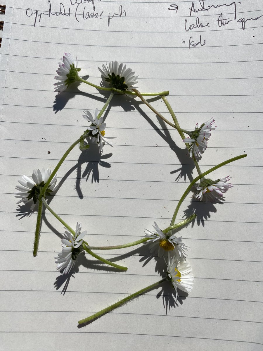 Cyfleon's tweet photo. An inspiring day attending the briefing day Non-Maintained Childcare settings as a  #CreativePractitioner #ForestSchool #ambitiouscapablelearners #creativity #WalesOutdoorLearningWeek @Arts_Wales_ @insolecourt @EarlyWales https://t.co/Bf5aGdRLnR