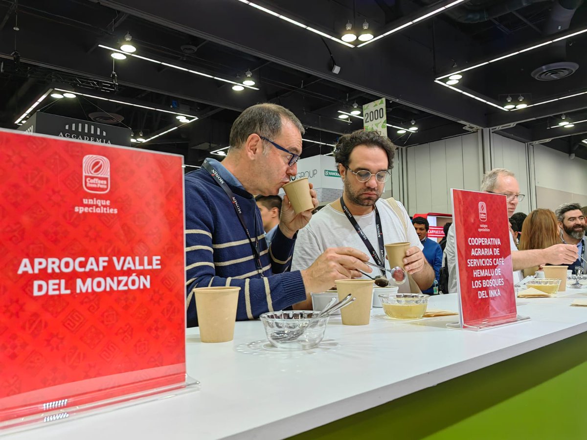 cafelabpe's tweet photo. Los productores de #caféperuano ☕️🇵🇪 generaron un interés comercial por mas de 40 millones de dólares en la Specialty Coffee Expo 2023 en EE.UU. Más detalles de la participación peruana aquí👉https://t.co/USrDJOgYrk

🖊️@piacostar 

@CafeCacaoPeru @USAIDPeru @Promperu https://t.co/ttMPXxtd05