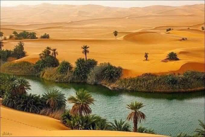 BuildNET6's tweet photo. @Naija_PR The picture below is a place in Yobe State, Nigeria. It's so beautiful and almost untouched. We have this to develop tourism but allow terrorism and banditry to kill such potentials, while we jet out to Dubai to enjoy the same thing. We're legends. #Bread #Sudan #LISA https://t.co/Xhq1IRStZ7