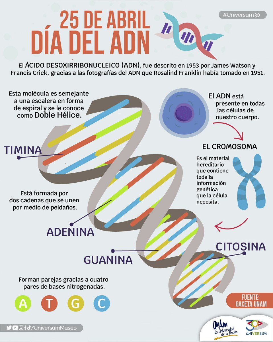 El descubrimiento de la estructura en doble hélice del ADN, es uno de los hallazgos científicos de mayor impacto en la humanidad. 🧬

#Universum30