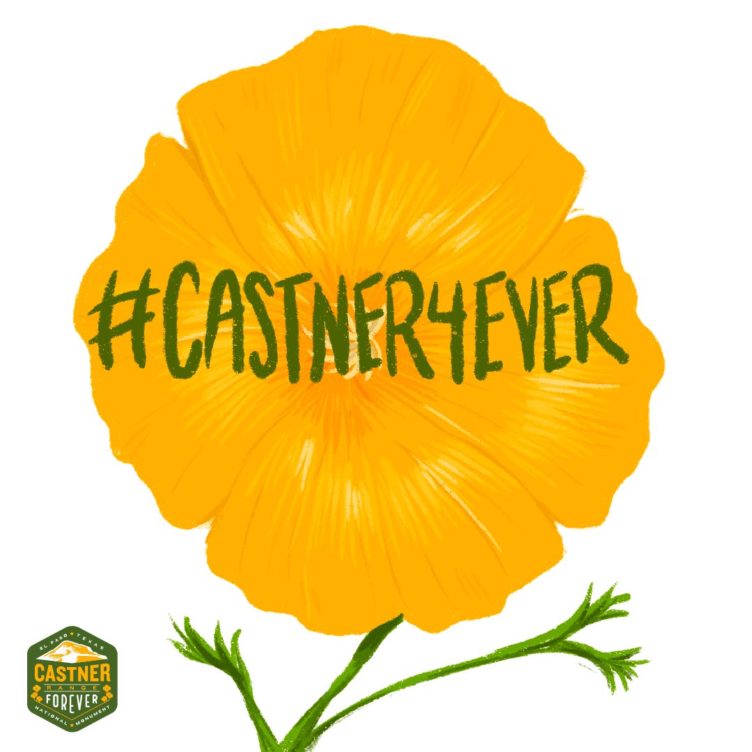 We love that Castner Range is forever a National Monument! Check this page to stay up-to-date about the next steps Fort Bliss will be taking in the next few years to eventually open Castner Range to the public.

#Castner4Ever #MonumentsForAll