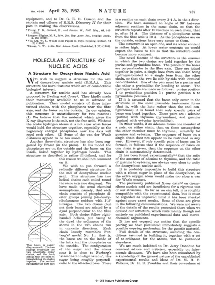 kecklabuw's tweet photo. Happy DNA day to all! On this day 70 years ago the structure of DNA was first published! May all your helices be right-handed! 🧬 https://t.co/ig8NZQvBEu