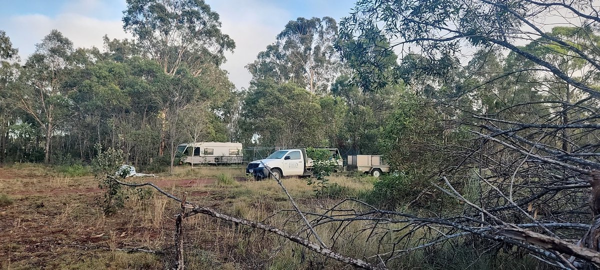 MarkBioCons's tweet image. Nice to finally get back to #Kingaroy. Will try to cut up as much of the greenhouse as I can before I have to head off to #Ipswich, #brisbane and #GoldCoast over next couple of days.