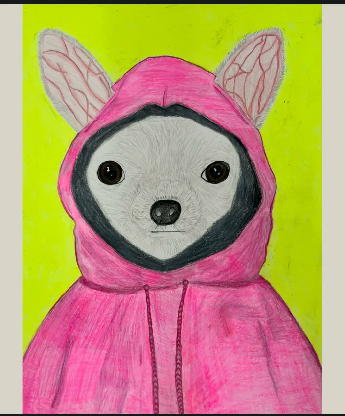 Anthony Ranii tweet media