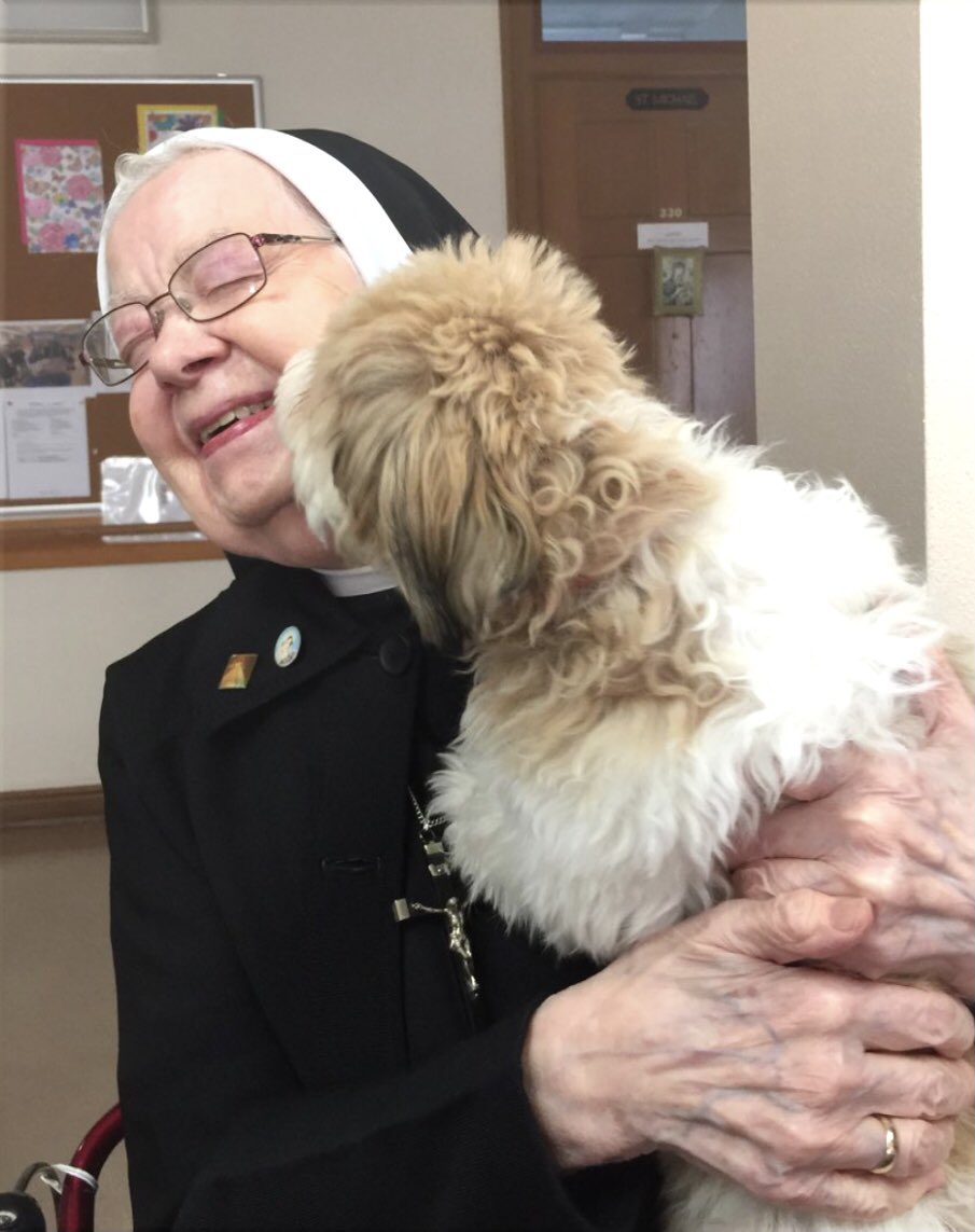 SSMO_Oregon's tweet photo. It's always a joyful day for the Sisters when Molly comes to visit!
#dogsoftwitter https://t.co/R0vKFwnuBq