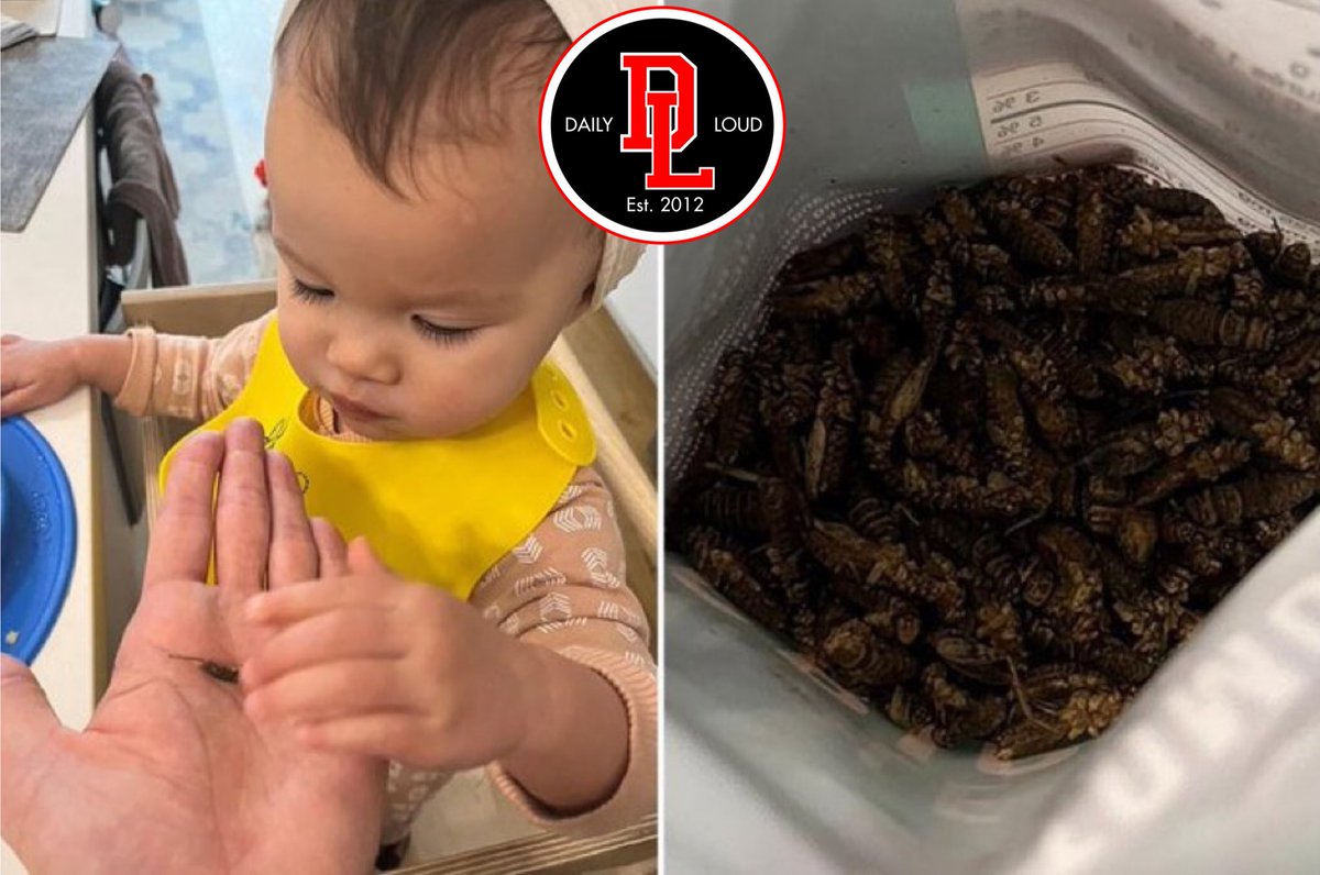DailyLoud's tweet image. A mother revealed that she feeds her 18-month-old daughter crickets as a source of protein -- claiming it saves her hundreds of dollars on grocery bills 😳🦗