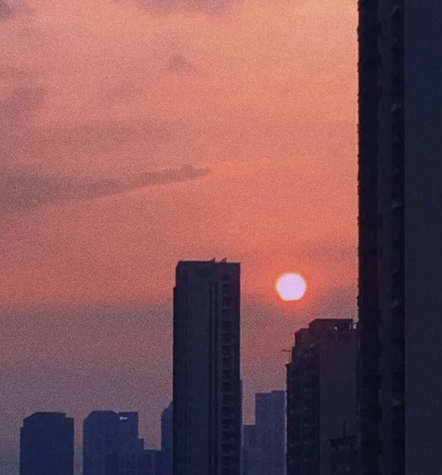 MSweefy22's tweet photo. Yun Duo stole the wine I put on the roof, so she blushed like a sunset https://t.co/H0iSpe2pVe