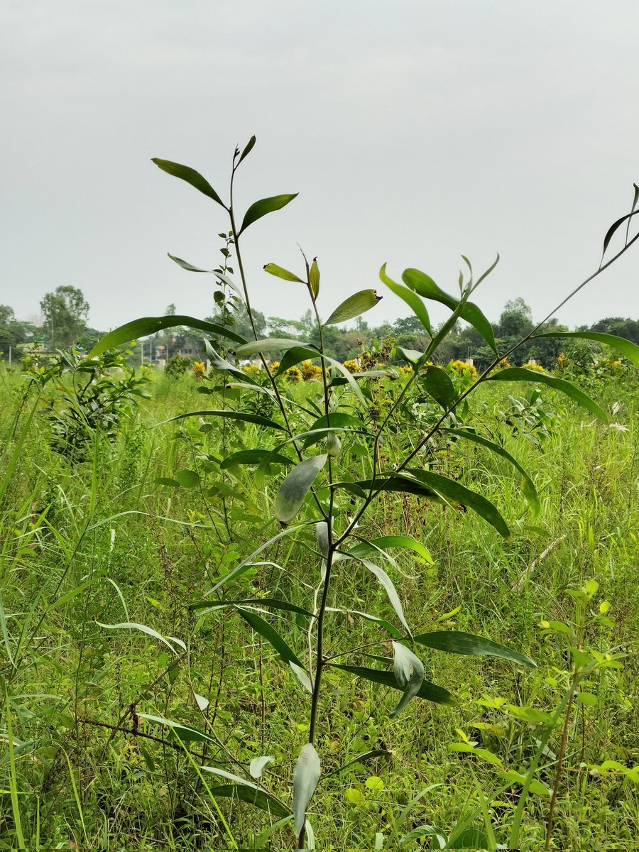 Alex (@alextra245) on Twitter photo 