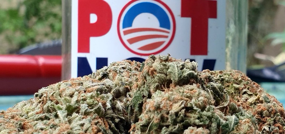 gendashwhy's tweet photo. @krassenstein Smells like teen spirit!
Those who profit from a non-Biden future are wearing their intelligence in their shoulder.
BIDEN is a solid as the people who support him like us.
Biden represents Hope.
Kinda fun considering he was Hope's VP for 8 years.
#POTHEALS https://t.co/9feLl52t4H