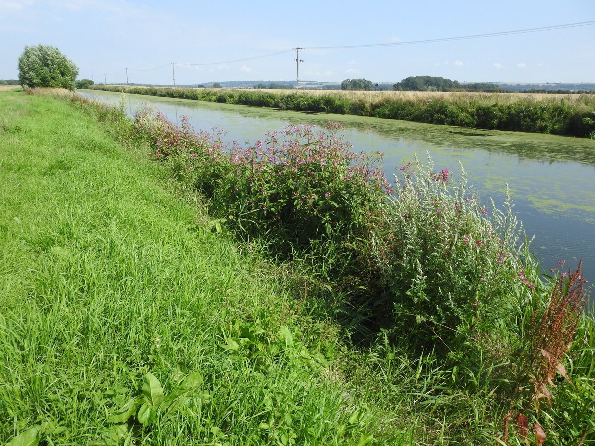 IanThewildside's tweet photo. Rewilding a Lost Landscape - Lincolnshire's Ancholme Valley

Downloadable from my blog: 

https://t.co/CHteIyREXV

Please share. Thanks. https://t.co/9ZAgwW7OXL
