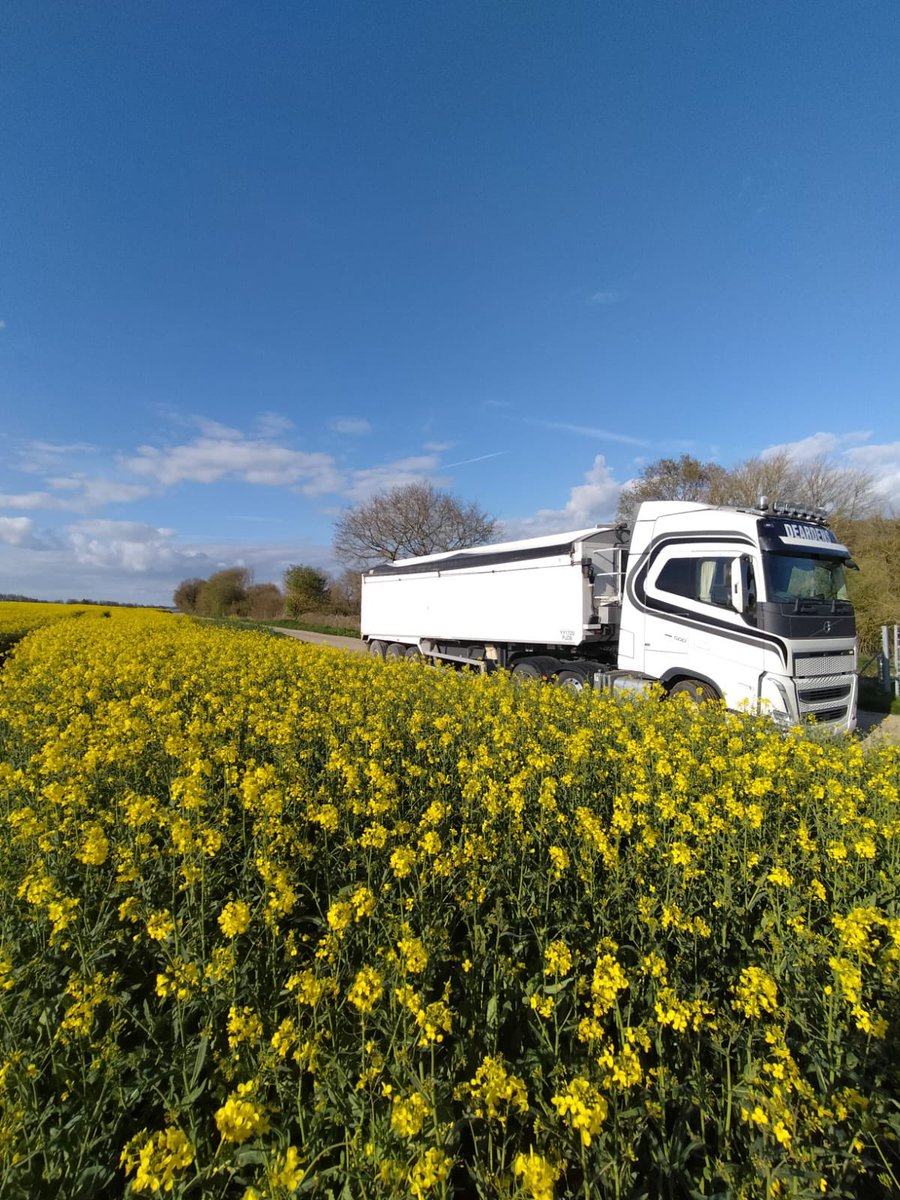 Awesome 🤩 #volvotrucksuk #Deardenshaulage #Britishfarming