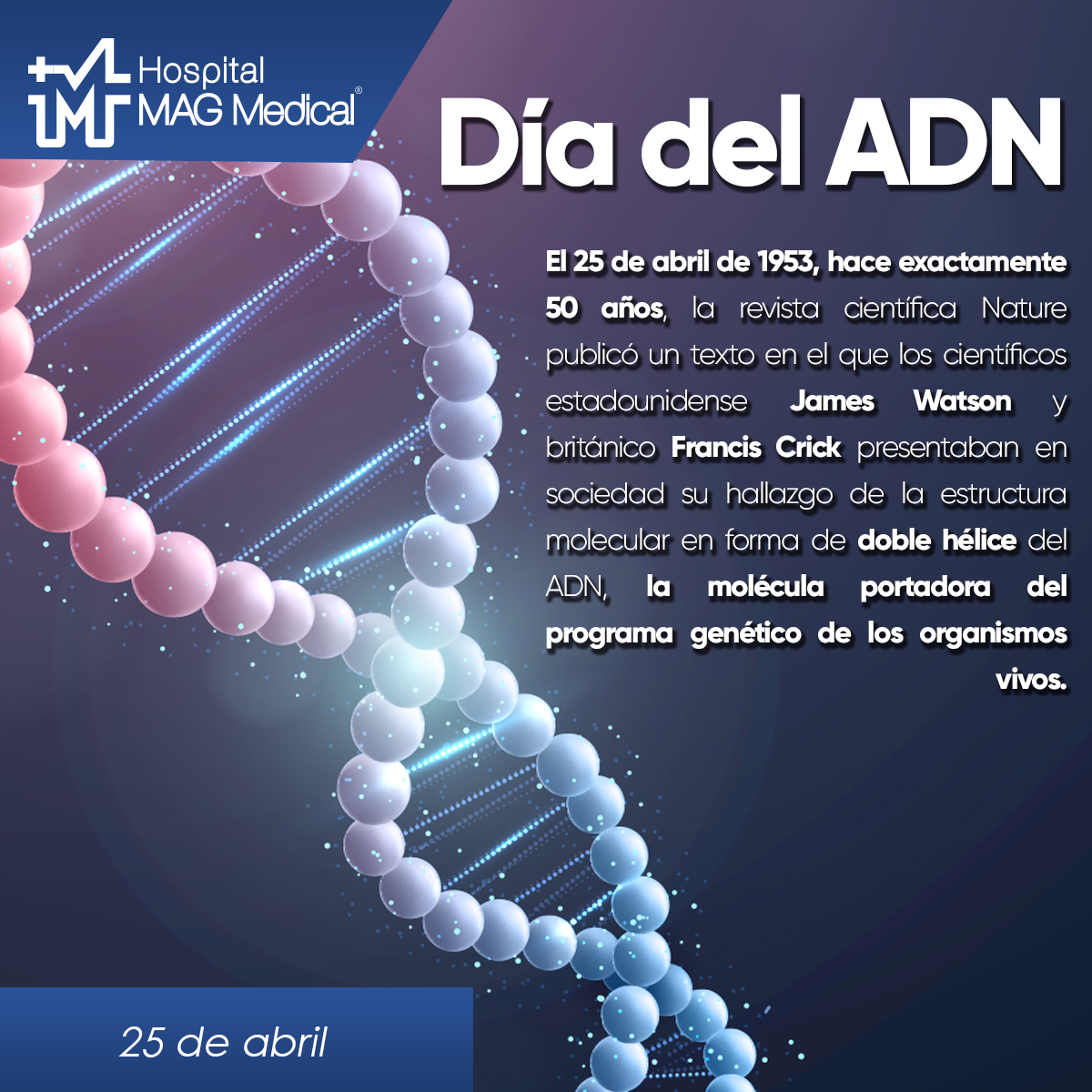MagMedicalGroup's tweet photo. #EfemérideMAG | El análisis de ADN tiene utilidad en el diagnóstico y prevención de múltiples enfermedades 🧬. #adn https://t.co/fJk6nnanVU