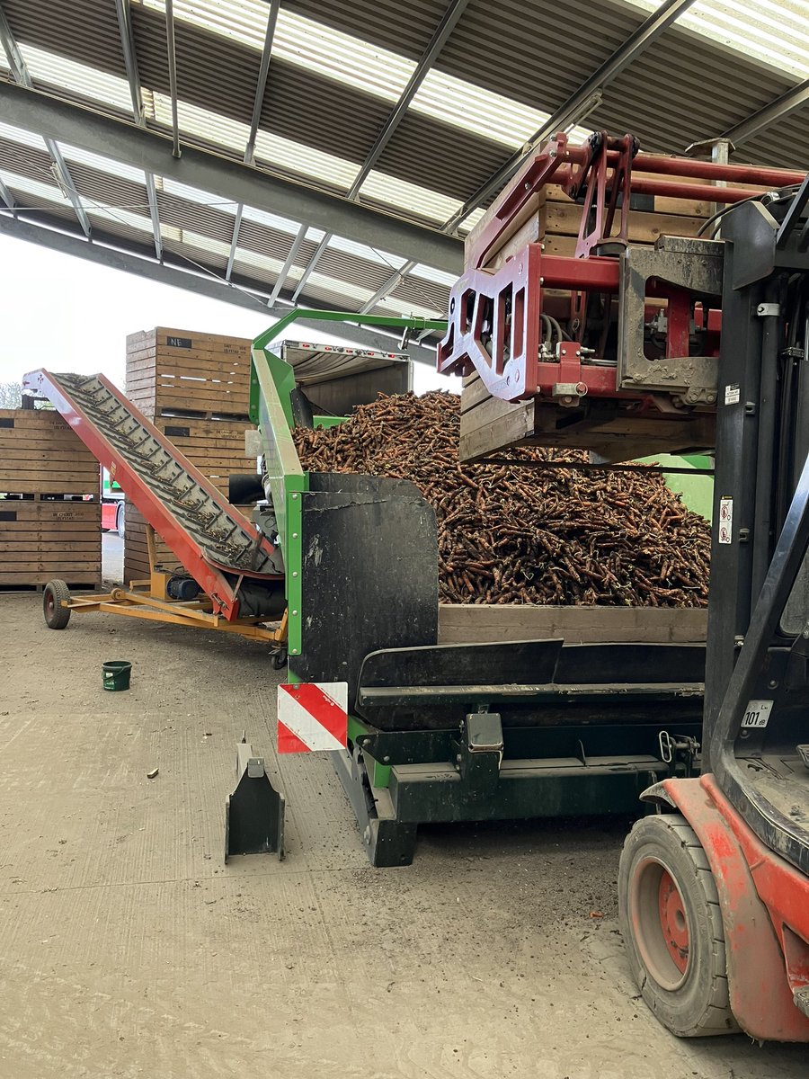 ChrisDeGroot16's tweet photo. Vandaag de laatste wortels afgeleverd, kwaliteit goed kunnen houden tot het einde met prima spoel resultaten! https://t.co/WX18hOf1hG