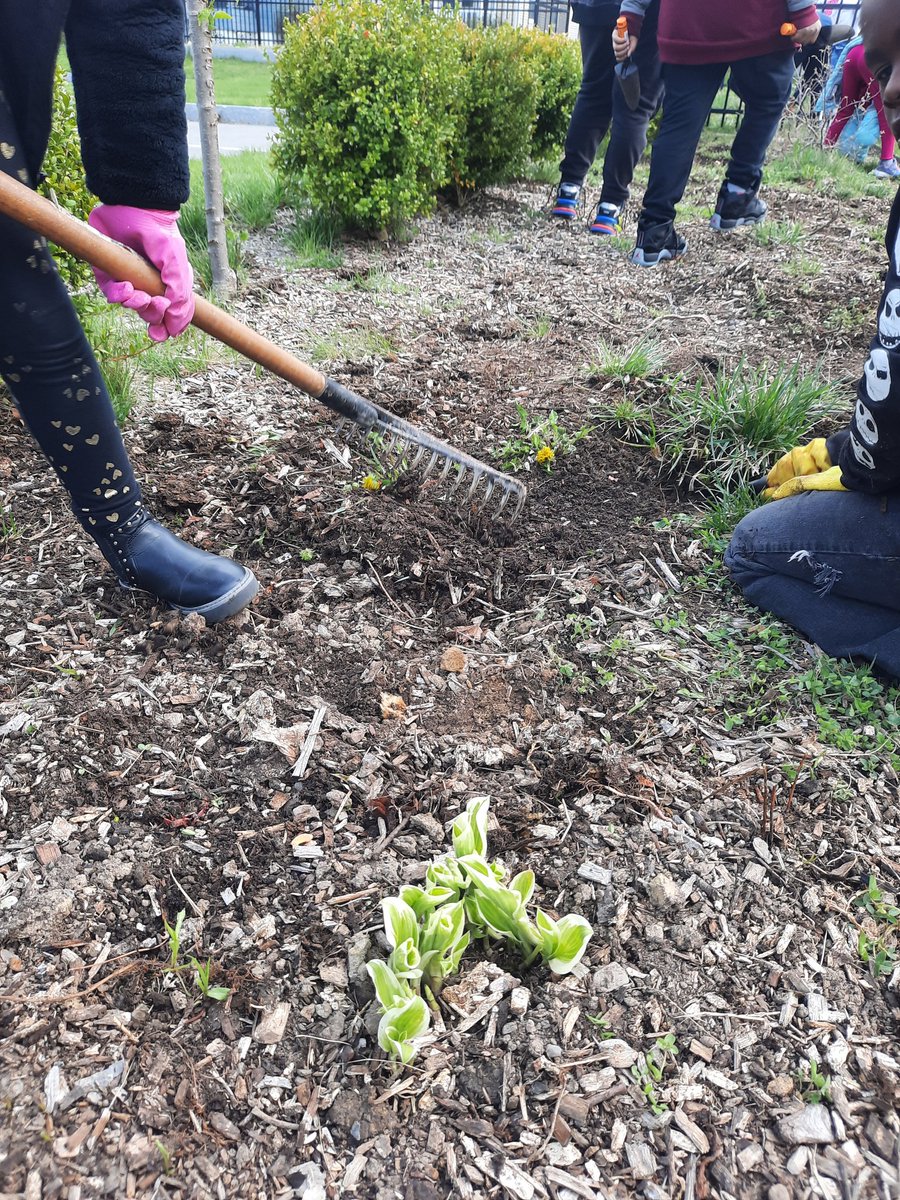 Demitria Lawton-Greggs tweet media