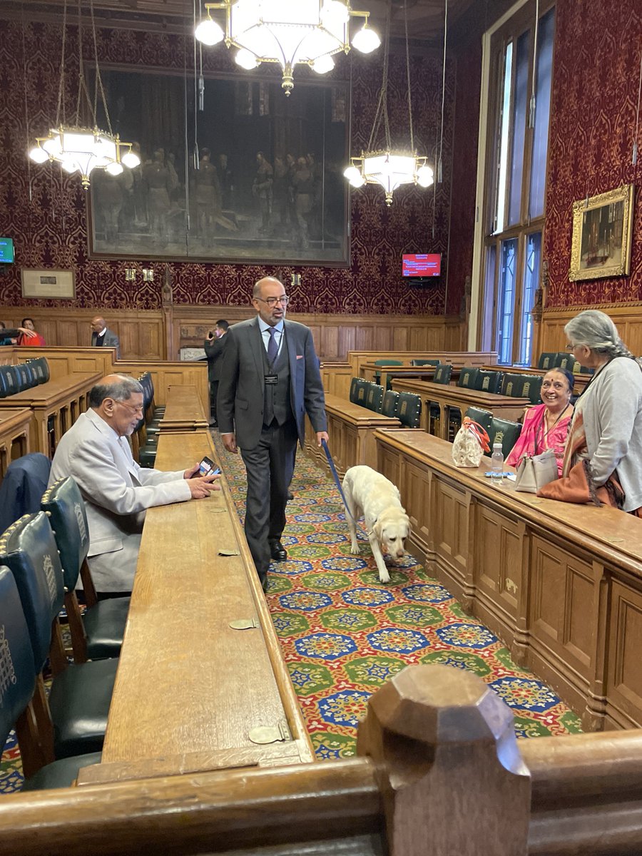 Kika_GuideDog's tweet photo. Anyone know where they hide the doggie treats in this place? Dad wasn’t wrong about me getting a late dinner tonight…  @HouseofCommons https://t.co/zs71XMIrHg