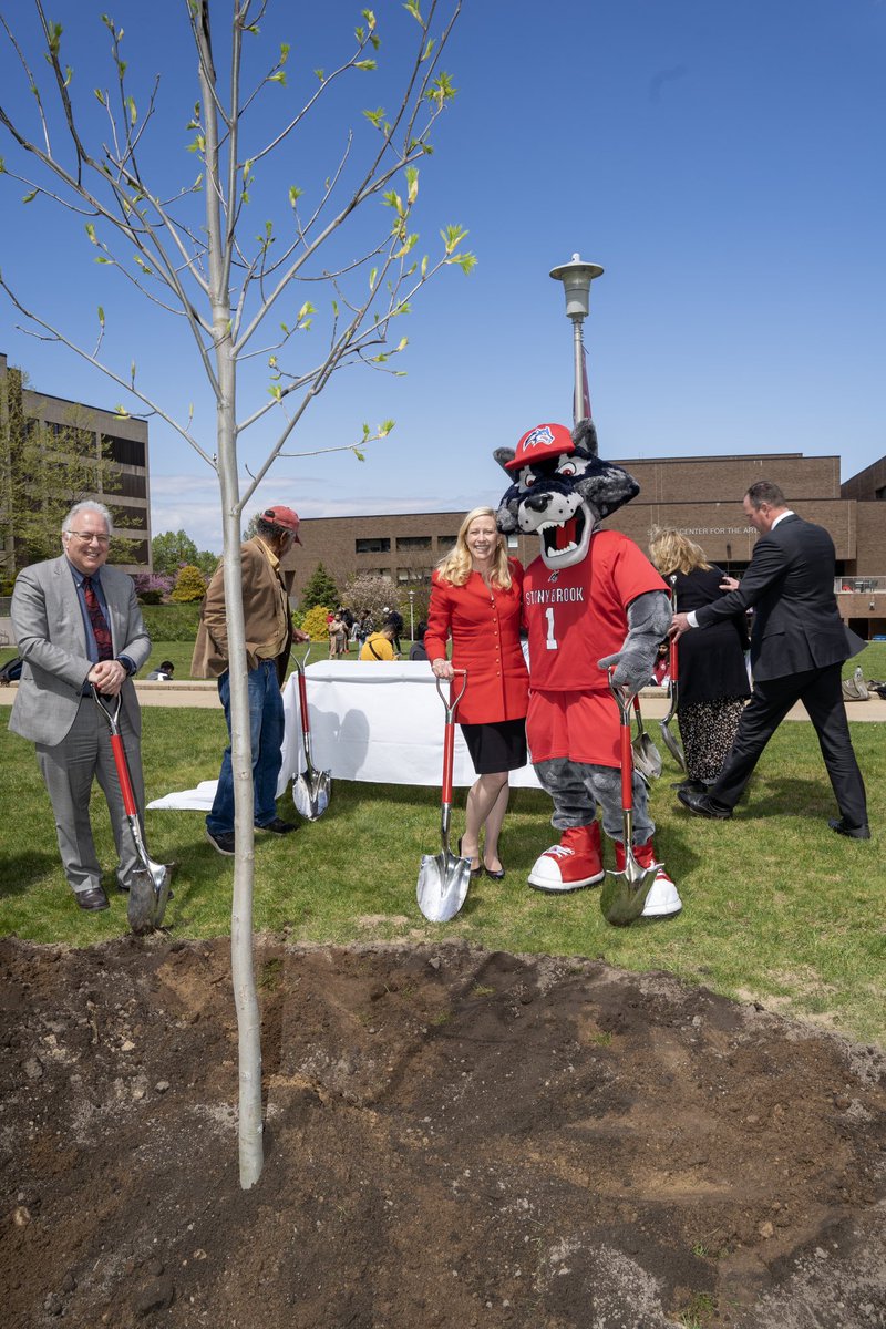 stonybrooku's tweet image. Our celebration for winning #TheExchange continued today with a Town Hall, planting of a Shagbark Hickory by @StallerCenter, and delicious desserts.