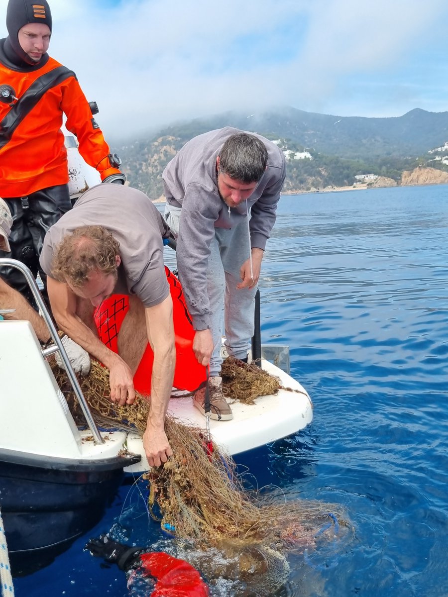 Ghost Diving tweet media